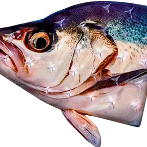 Snowboarding Stomp Pads devembr Fish Head Design-0