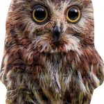 Snowboarding Stomp Pad ONEBALL Owl-0